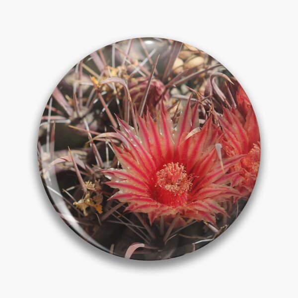 Item preview, Prickly beauty designed and sold by cuprum.