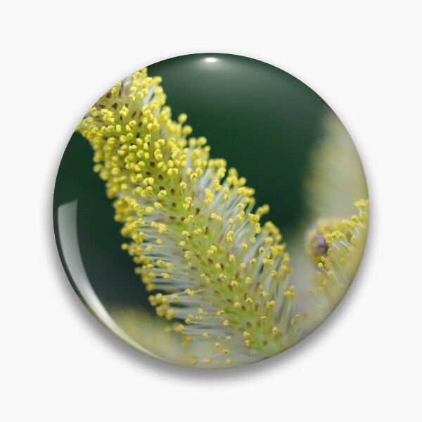 Item preview, Catkin up close designed and sold by cuprum.