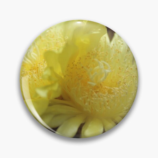 Item preview, Yellow cactusflower designed and sold by cuprum.