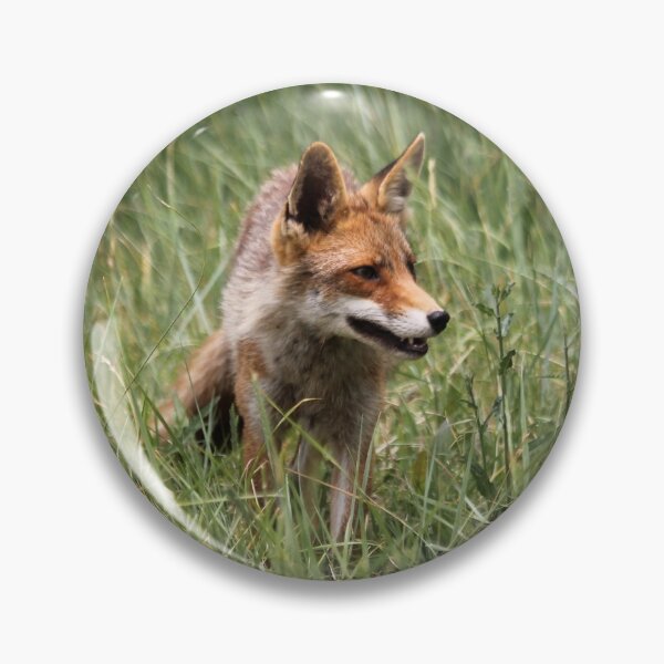 Item preview, Renard designed and sold by cuprum.