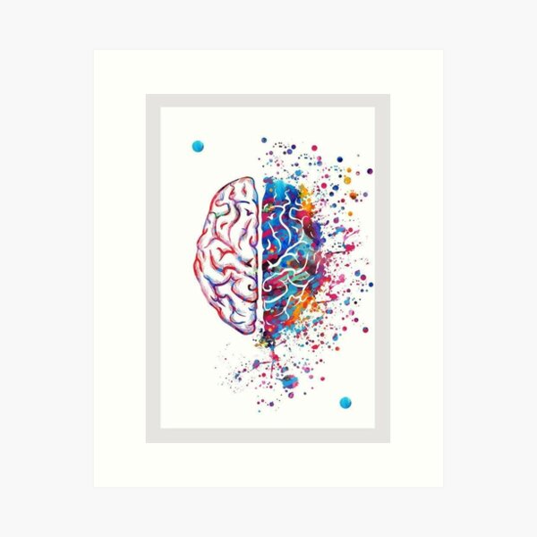 Item preview, BRAIN designed and sold by Medicoshop.