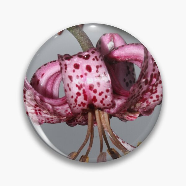Item preview, Martagon lily designed and sold by cuprum.