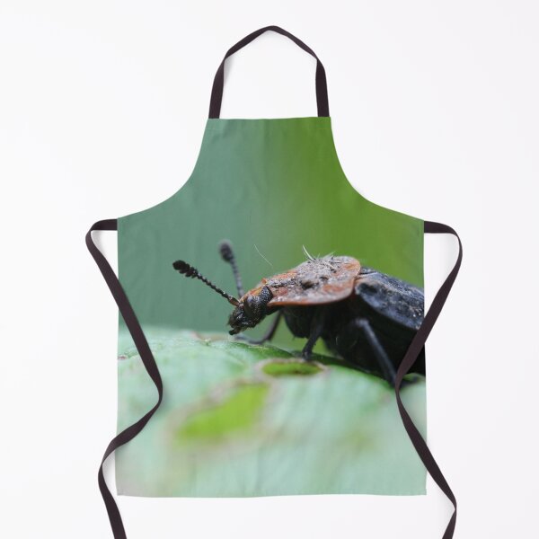 Item preview, red breasted carrion beetle designed and sold by cuprum.