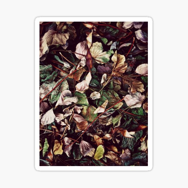 Approaching Fall Sticker
