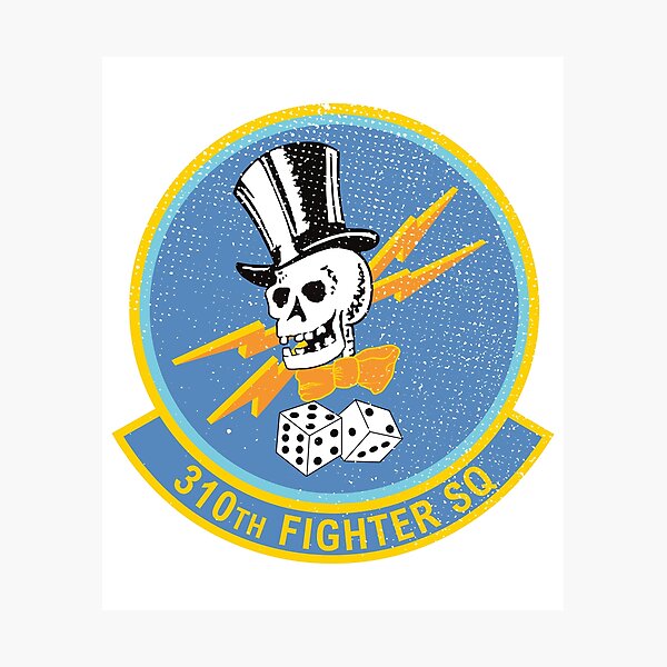 WW2 310th Squadron Bomber Insignia Patch