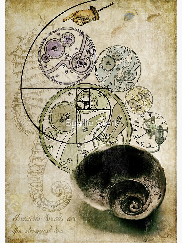everything's connected by MagpieMagic