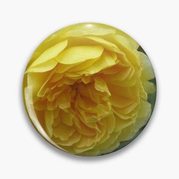 Item preview, Yellow mum  designed and sold by KatNKel.