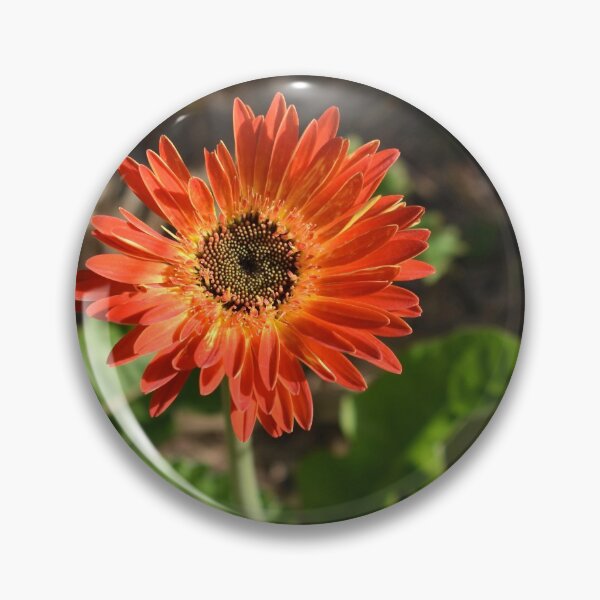 Item preview, Burnt Orange Gerbera Daisy designed and sold by ErinLP.