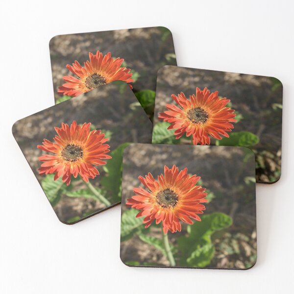 Item preview, Burnt Orange Gerbera Daisy designed and sold by ErinLP.