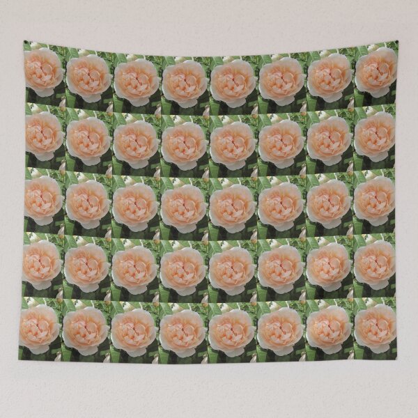 Item preview, Beautiful Blush Pink Rose designed and sold by GoNatureDesigns.