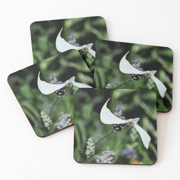 Item preview, Un Amour Love de Papillons - Butterfly d (h) Okaio Création & Olavia-Olao designed and sold by o.okaïo.