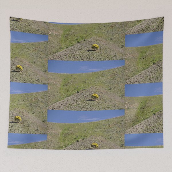 Item preview, 20190904 Tree, Horrocks Pass, Horrocks Highway, SA  designed and sold by muz2142.