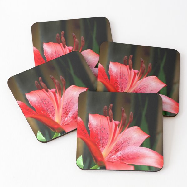 Item preview, Fine Lily designed and sold by AllieWest.