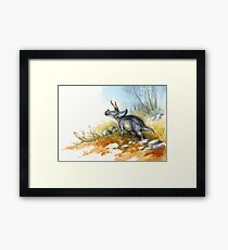 Triceratops Framed Print