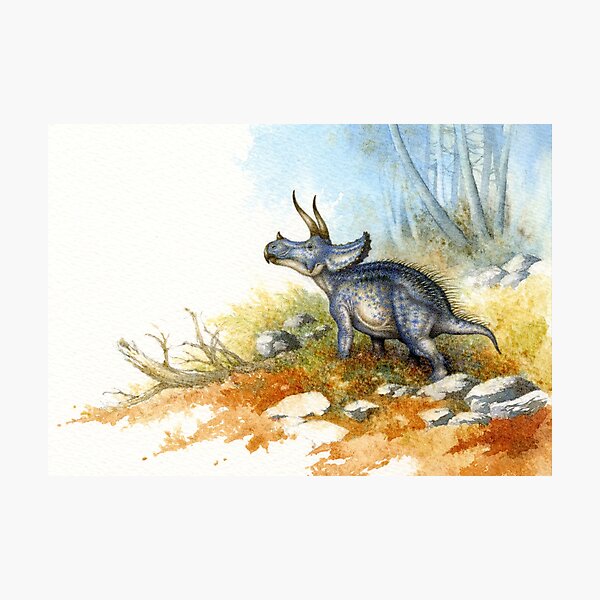 Triceratops Photographic Print