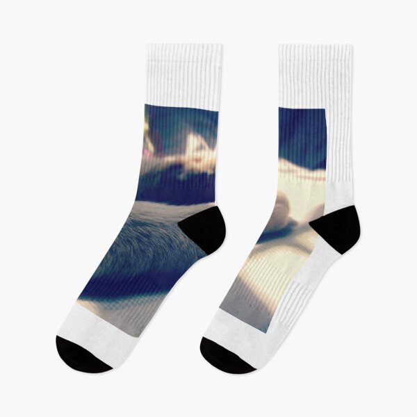 Item preview, Paws designed and sold by The Full Cart.