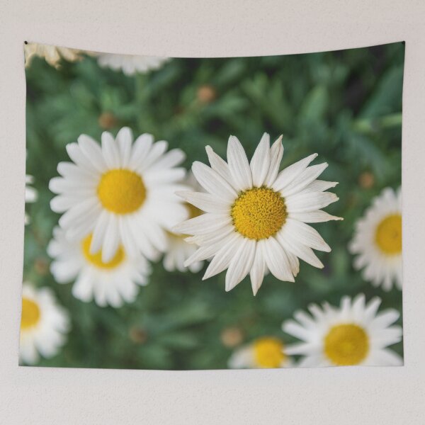 Item preview, Daisies designed and sold by Tadis Graphics.