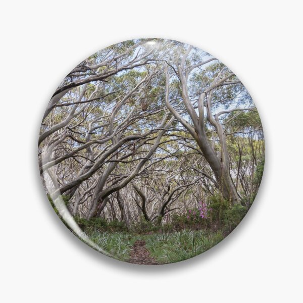 Item preview, Snow Gums on the Baw Baw Plateau designed and sold by jharrisphoto.