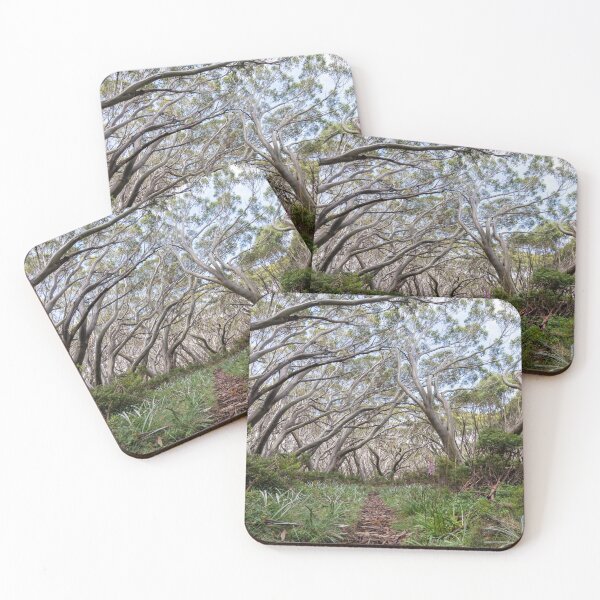 Item preview, Snow Gums on the Baw Baw Plateau designed and sold by jharrisphoto.