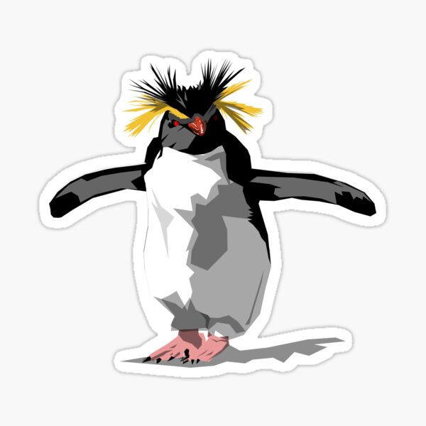 🔥 Northern rockhopper penguin flipping it's hair 🔥 : r/NatureIsFuckingLit