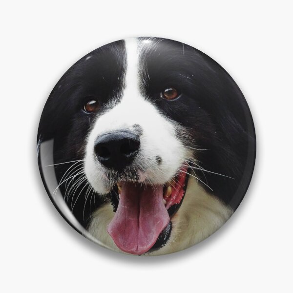 Item preview, Border Collie Face designed and sold by dedakota.