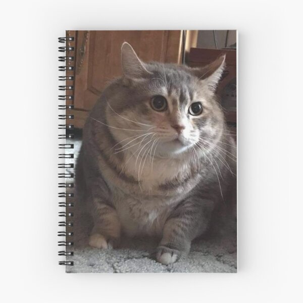 Item preview, Cat CHONK designed and sold by Rainfalling.