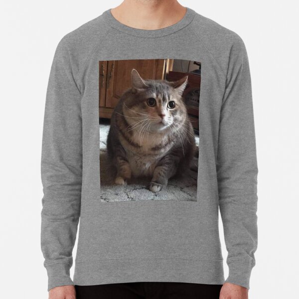 size chart sweatshirts hoodies redbubble
