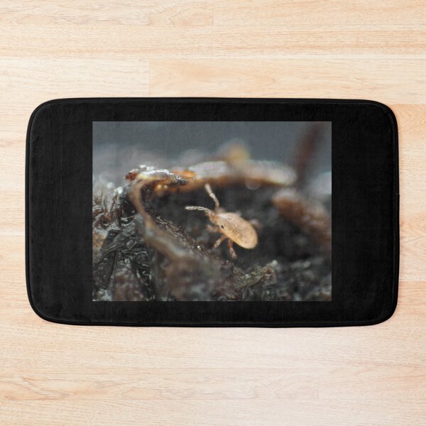 Item preview, Tiny soil mite under the microscope designed and sold by SDym Photography.