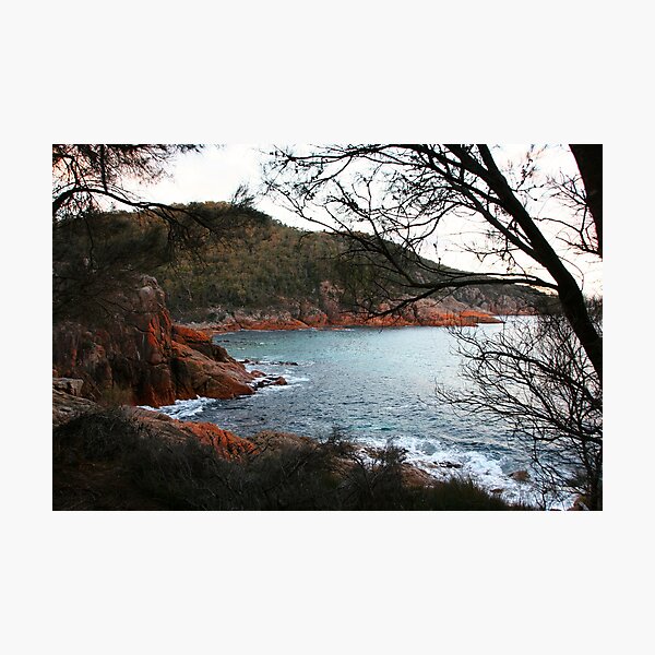 Sleepy Bay, Tasmania - Australia Photographic Print