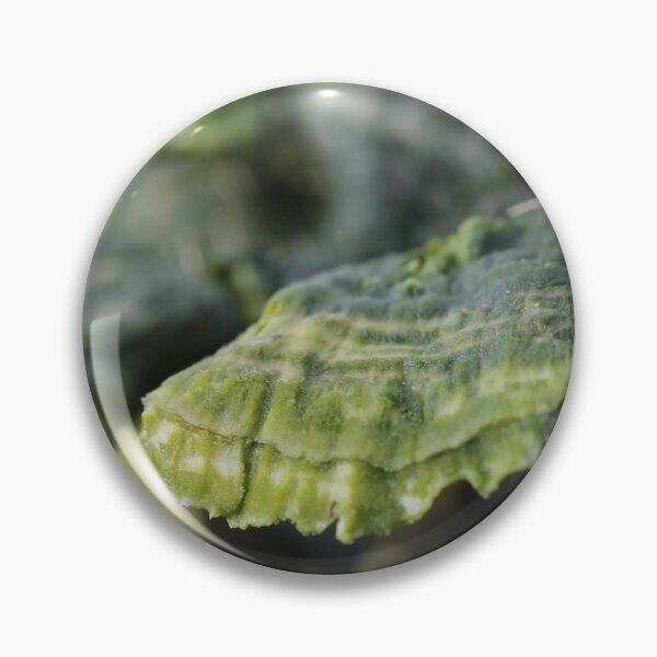 Item preview, Trametes in decay designed and sold by cuprum.