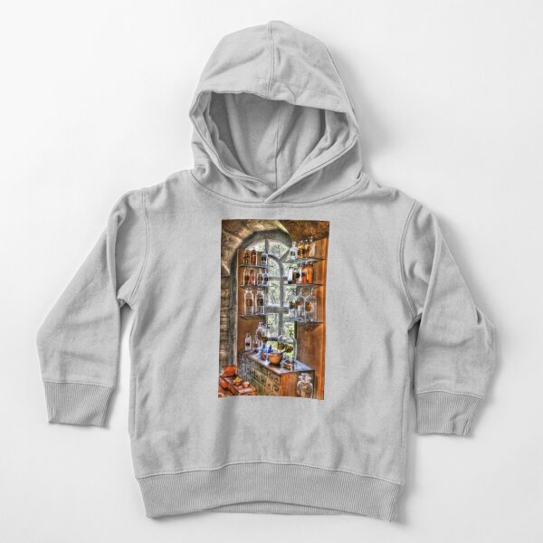 Various Potions Toddler Pullover Hoodie