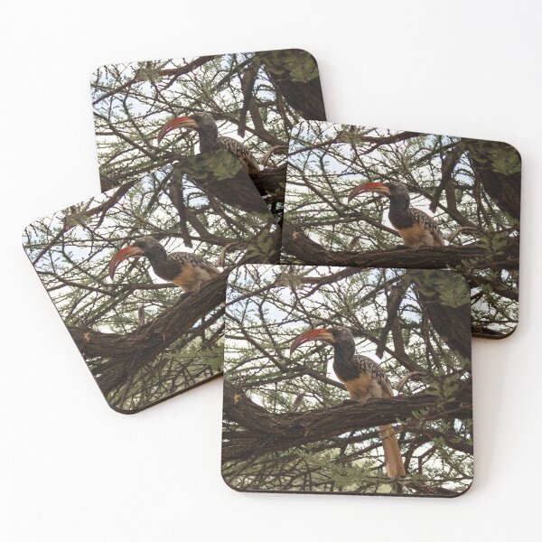 Item preview, Red-billed hornbill in a tree designed and sold by HazelWright.