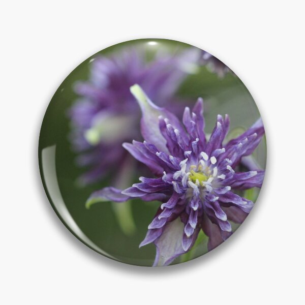 Item preview, Purple Star Columbine  designed and sold by cuprum.