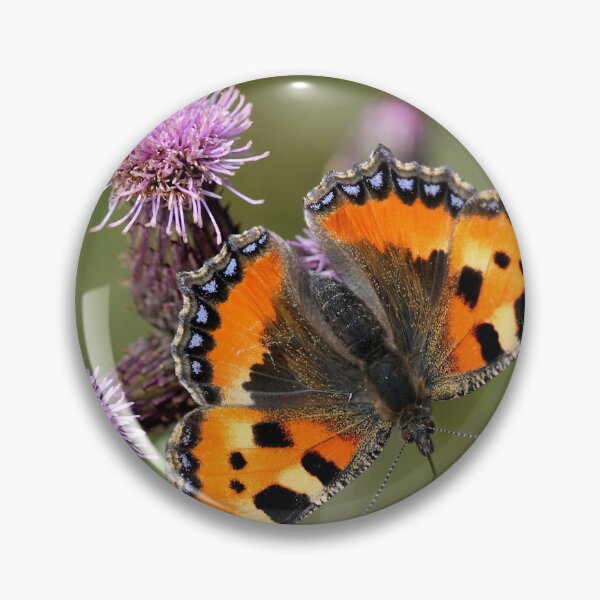 Item preview, Small tortoiseshell  designed and sold by cuprum.