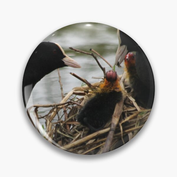 Item preview, Shared parenting designed and sold by cuprum.