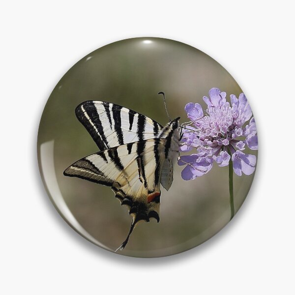 Item preview, Scarce Swallowtail designed and sold by cuprum.