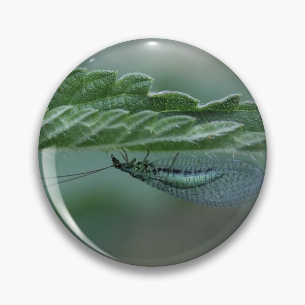 Item preview, Lacewing designed and sold by cuprum.
