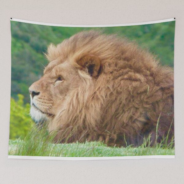 Item preview, Lion designed and sold by Debsta75.