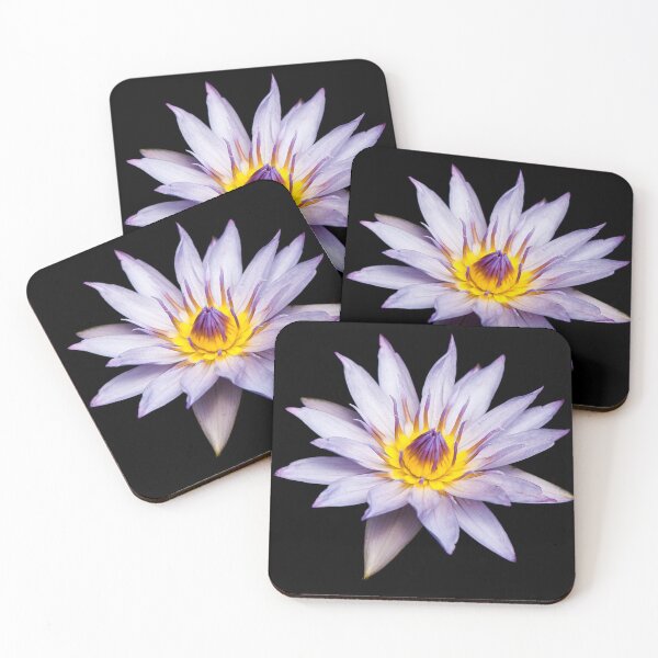 Item preview, Water Lily designed and sold by Kurt Petersen.