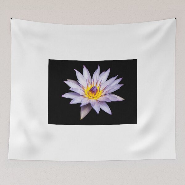 Item preview, Water Lily designed and sold by Kurt Petersen.