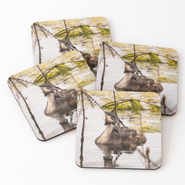 Item preview, great crested grebe with chick designed and sold by Maxime Bervoets.