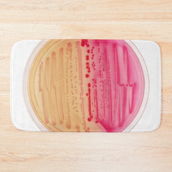 Item preview, Bacterial Culture in Petri Dish designed and sold by labstud.
