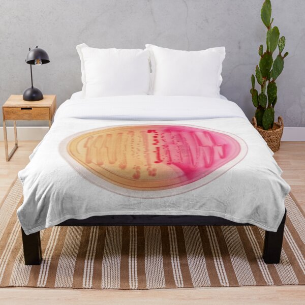Item preview, Cultivo bacteriano en placa de Petri designed and sold by labstud.