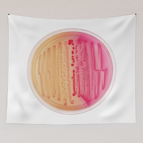 Item preview, Bacterial Culture in Petri Dish designed and sold by labstud.