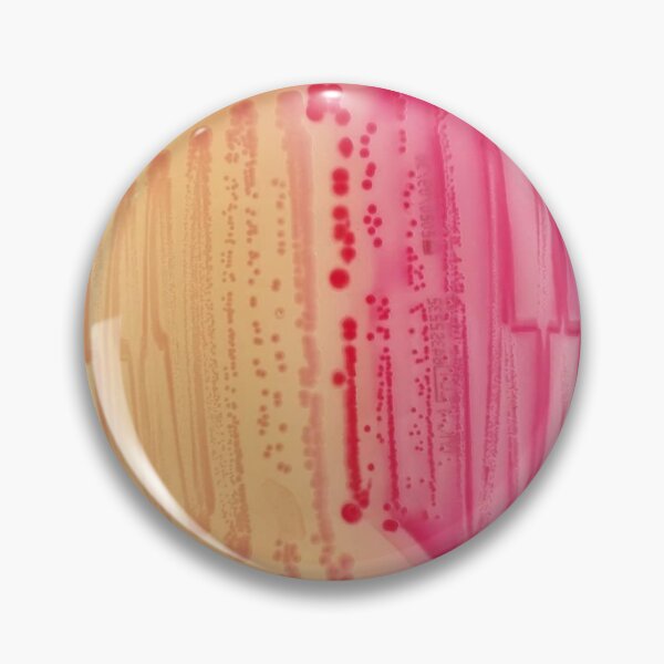Item preview, Bacterial Culture in Petri Dish designed and sold by labstud.