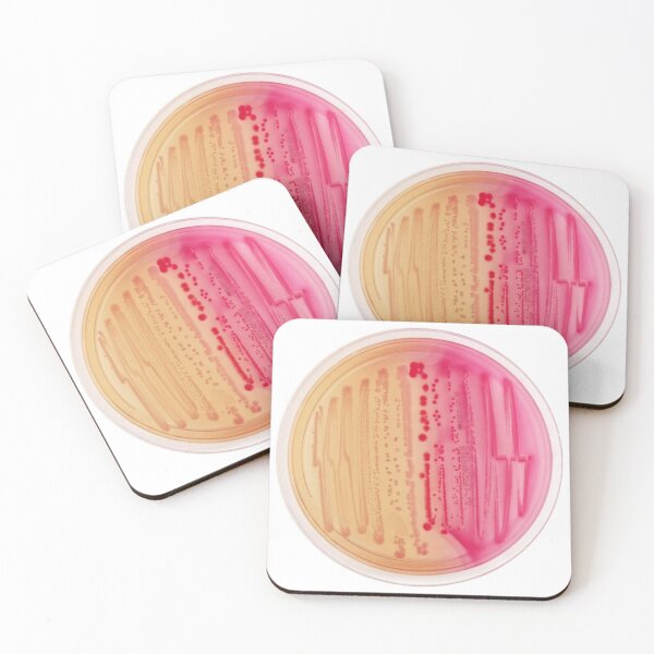 Item preview, Bacterial Culture in Petri Dish designed and sold by labstud.