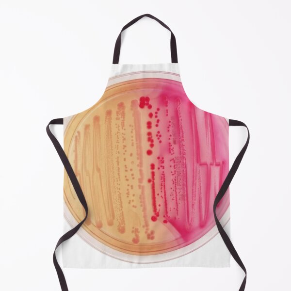 Item preview, Bacterial Culture in Petri Dish designed and sold by labstud.