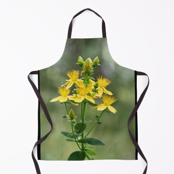 Item preview, Spotted St. Johnswort 4 designed and sold by Jouko Lehto Photography.