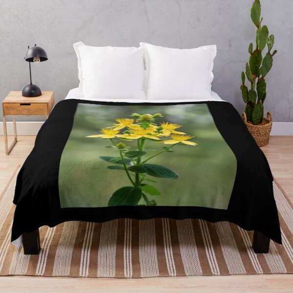 Item preview, Spotted St. Johnswort 4 designed and sold by Jouko Lehto Photography.