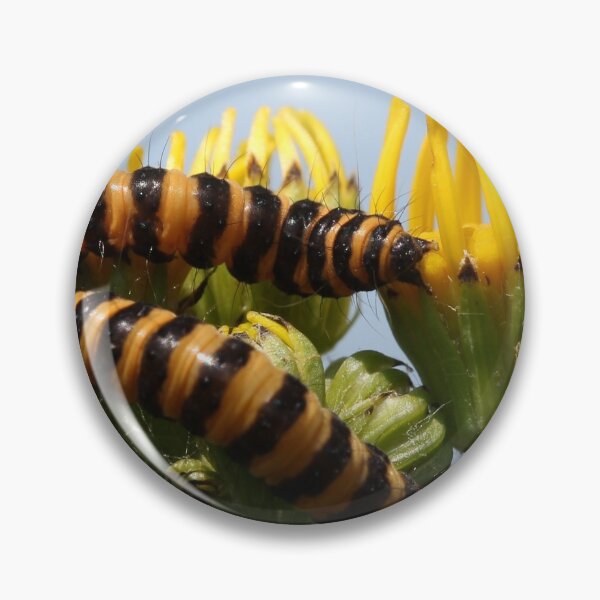 Item preview, Cinnabar moth caterpillar designed and sold by cuprum.